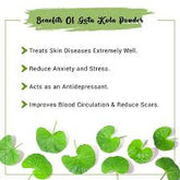 Gotu Kola Herb Powder - EROS NECTAR